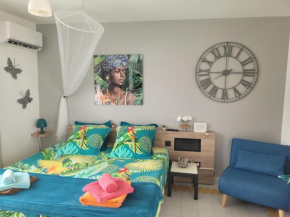 Studio papillon manganao
